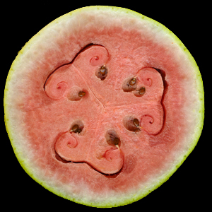 Watermelon image